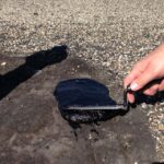 Asphalt repair with #776 Elite Flashing Cement
